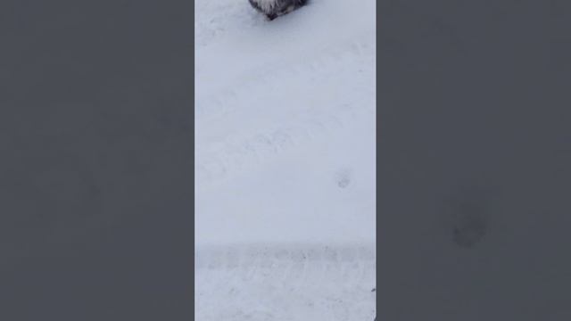 1000096316.mp4