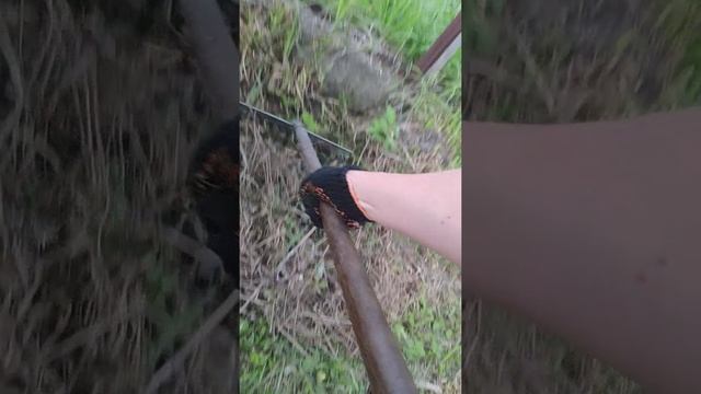 2021 год - уборка травы как антистресс