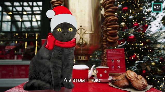 Фестивальная Москва зимой | Кот Бублик