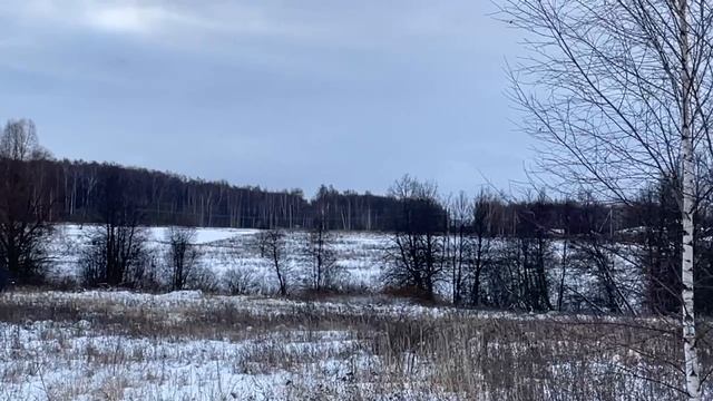 Рыжиково, 50:32:0040131:3456