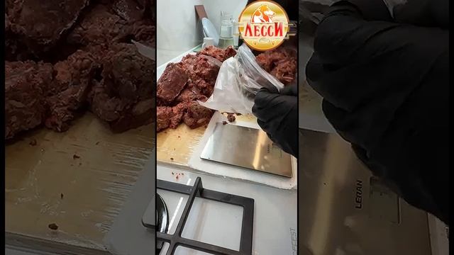 Вкус настоящего: натуральный корм для собак