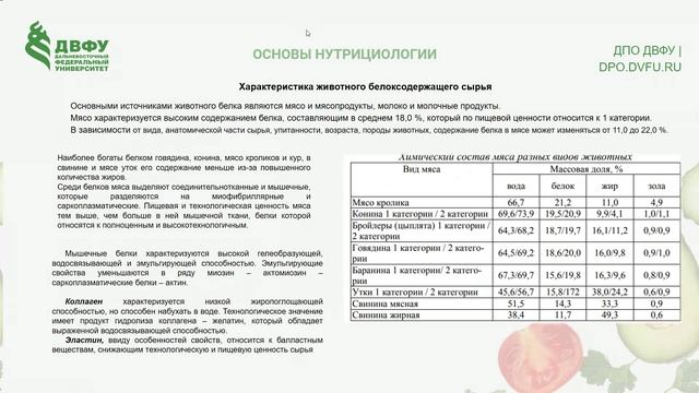БЕЛКИ_ 27.12.24 18-42-13 — запись
