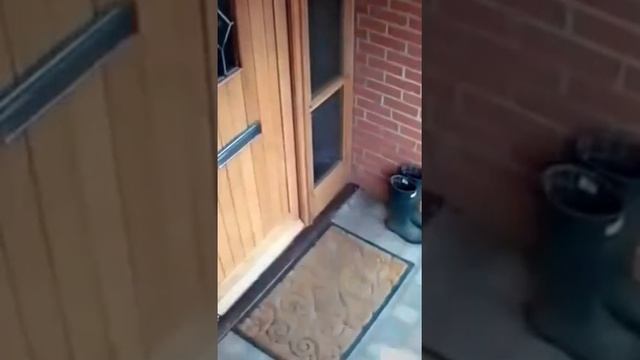 погуляй со мной