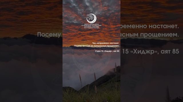 Аят #shorts