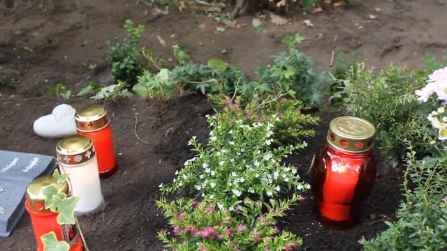 Могилка Павлика.  Берлин