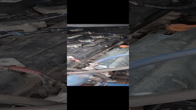 video_20241222_112523