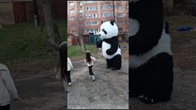 1000004731.mp4