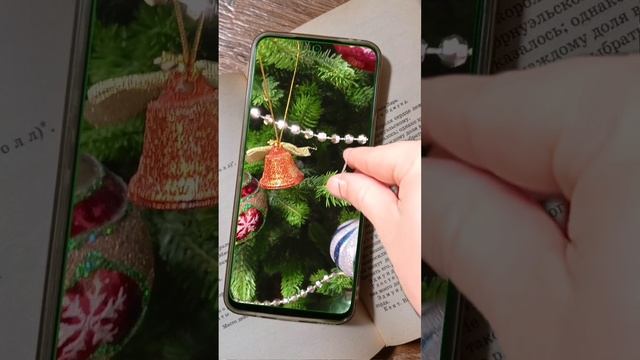 lv_0_20241226211641.mp4