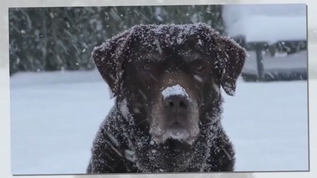 Снег идёт