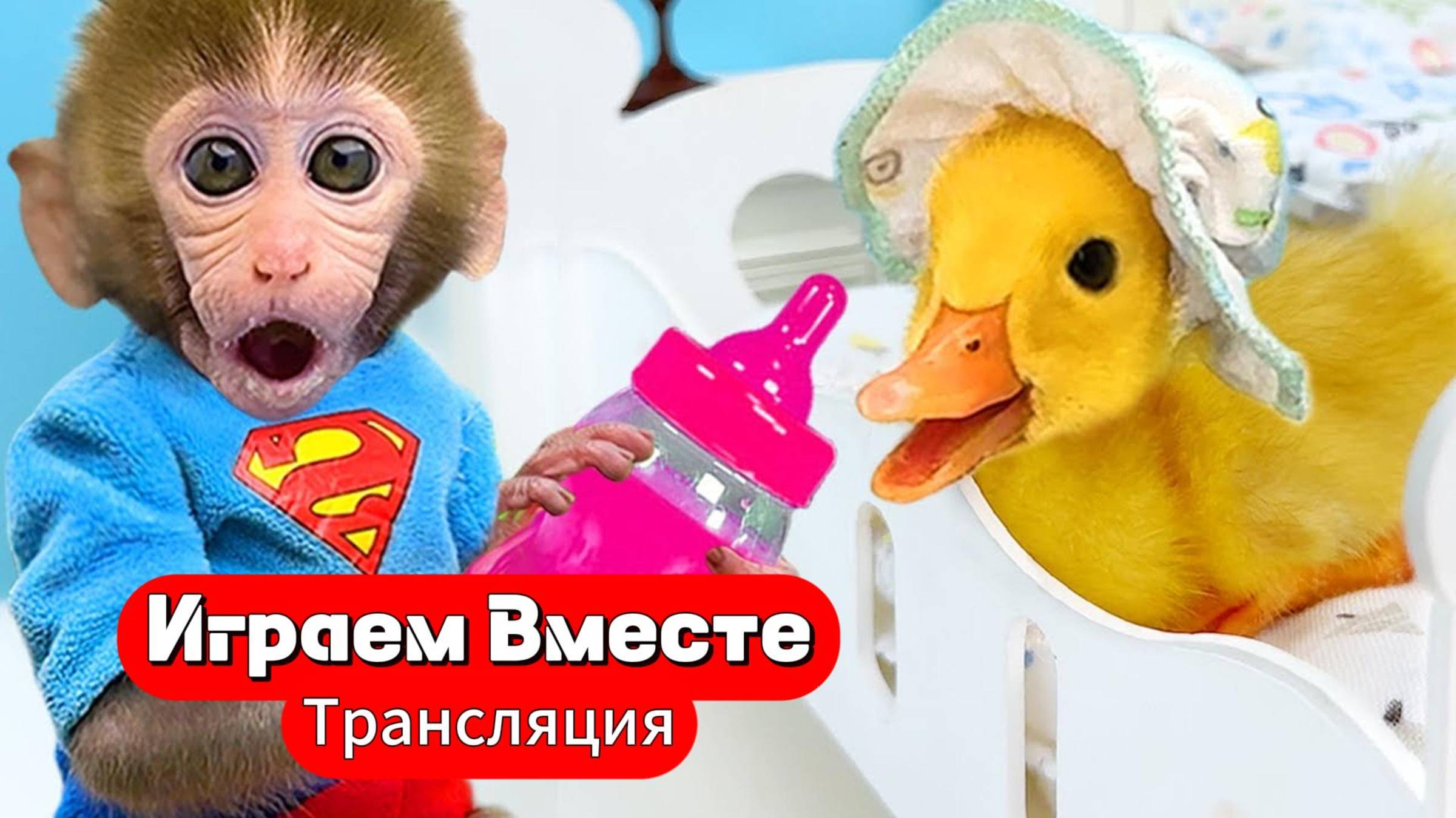 Вместе с Обезьянкой кушаем Мороженое и играем с Утенком 🐒 Трансляция для детей ЧАСТЬ 2