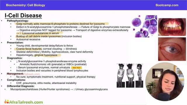 I-Cell Disease atf