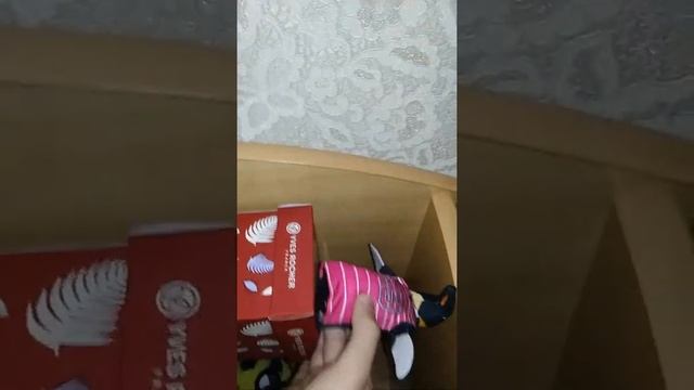 Чем занимается днём мой пингвин по имени Дейзи