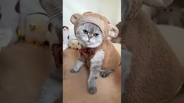 Новогодний 🤣Костюм Оленя для Лёлика  🦌