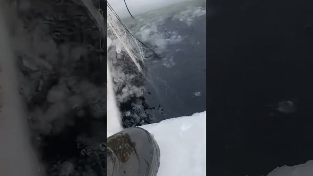 огромная щука, зимняя рыбалка на сеть
