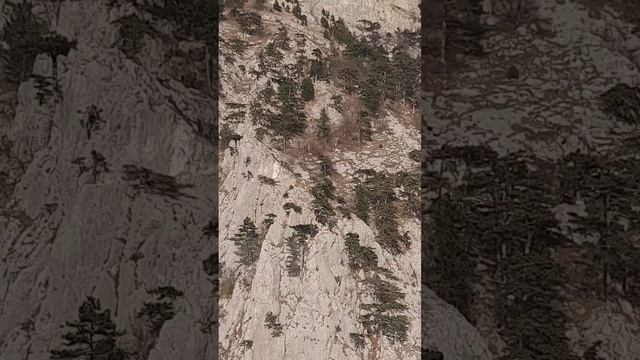 подъём на Ай-Петри перед новым годом 2025.mp4