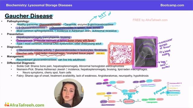 Gaucher Disease atf