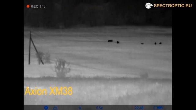 Приборы для ночной охоты: Axion XM30, Axion XM38, Helion XQ50, Accolade LRF XP50. Тест и сравнение