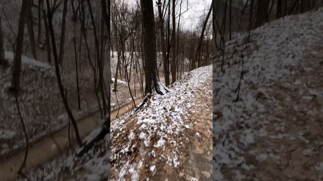 В жестокости нет души #земнойирий #оважном