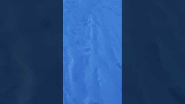Лучшая зимняя обувь