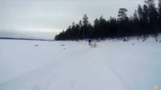 SVID_20241201_122124_1.mp4