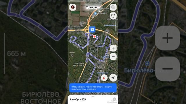 selerkna Я НЕ МОГУ ВЫКИНУТЬ ТЕБЯ ИЗ ГОЛОВЫ