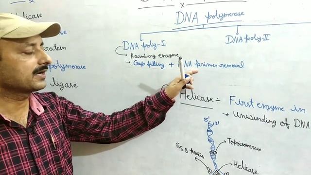 DNA REPLICATION ( PART-1)