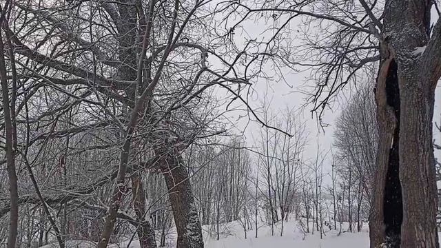 Опять метель.