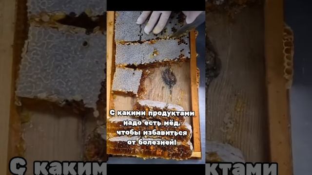 С какими продуктами надо есть мёд!