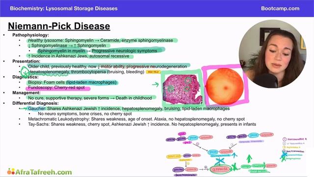 Niemann-Pick Disease atf