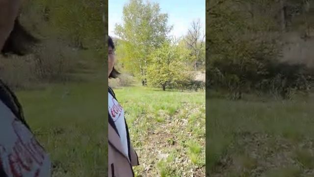 Весна на Кантемировском пруду.