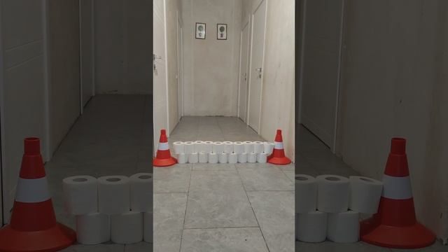 Придумываем задания для собак и кошки.