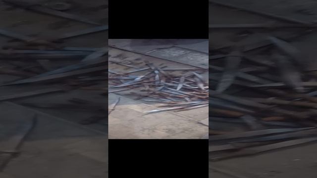 VID_20241114_152814.3gp