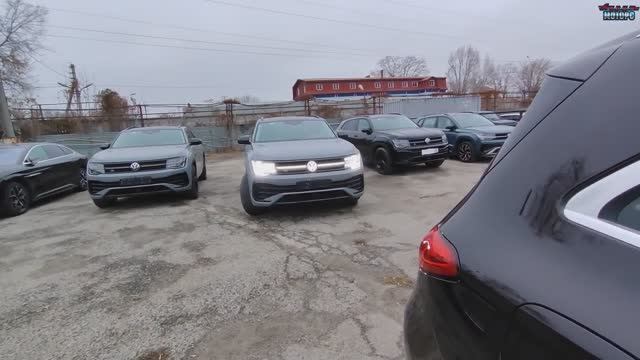 Два серых VW Терамонт X - растаможили