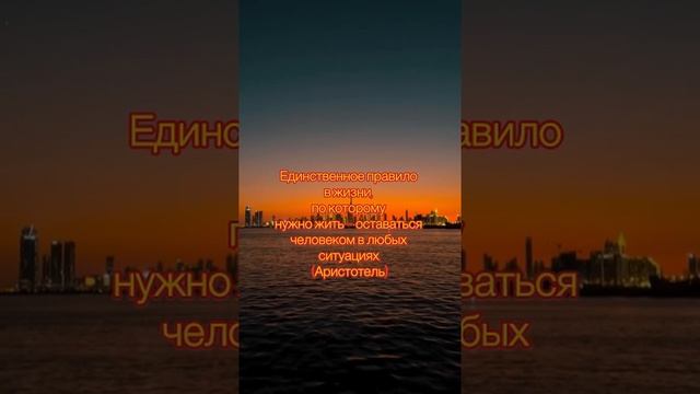 Цитата про жизнь #жизнь #мудрость#любовь#цитаты#боль