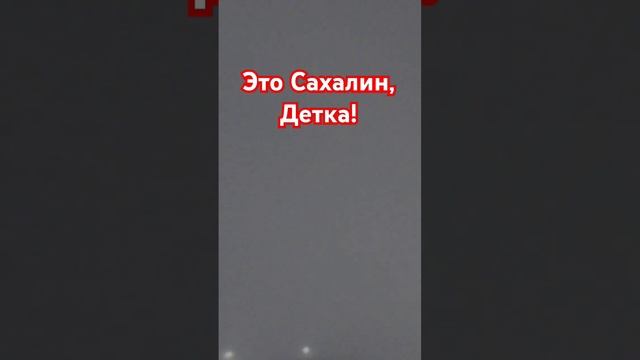 Это Сахалин! Пурга 27.12.2024г