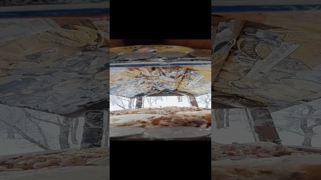 1000035679.mp4Р/А."Кормушка".27.12.2024г.