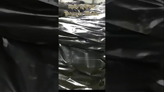 ЛИКВИДИРОВАННЫЕ_В_КУРСКОЙ_ОБЛАСТИ_ОККУПАНТЫ