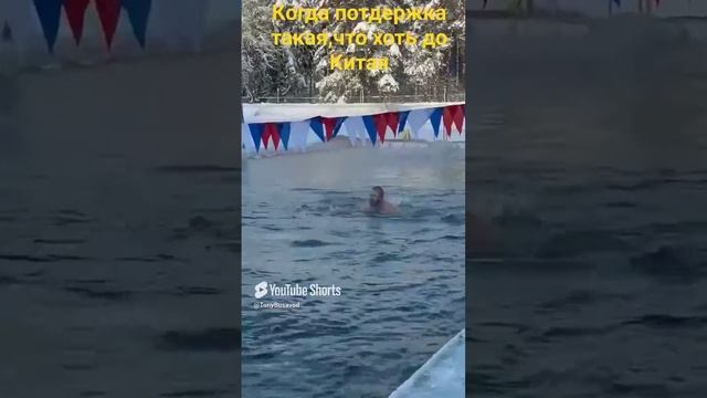 Слёт моржей