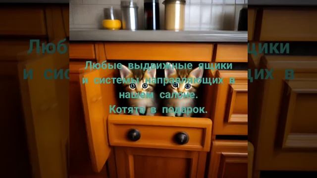 Любая фурнитура Блюм , в нашем салоне