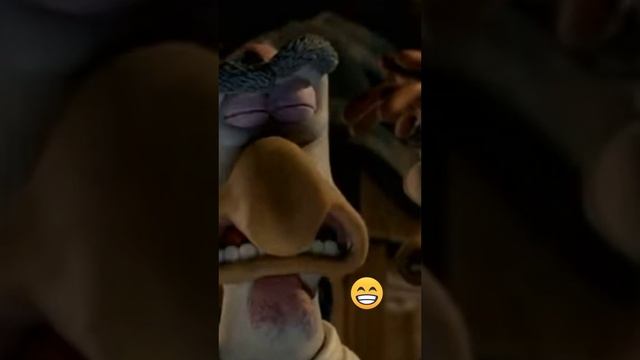 побег из курятника😁