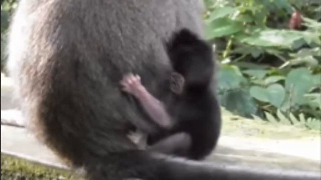 Как бы так спрятаться, чтобы долго..?