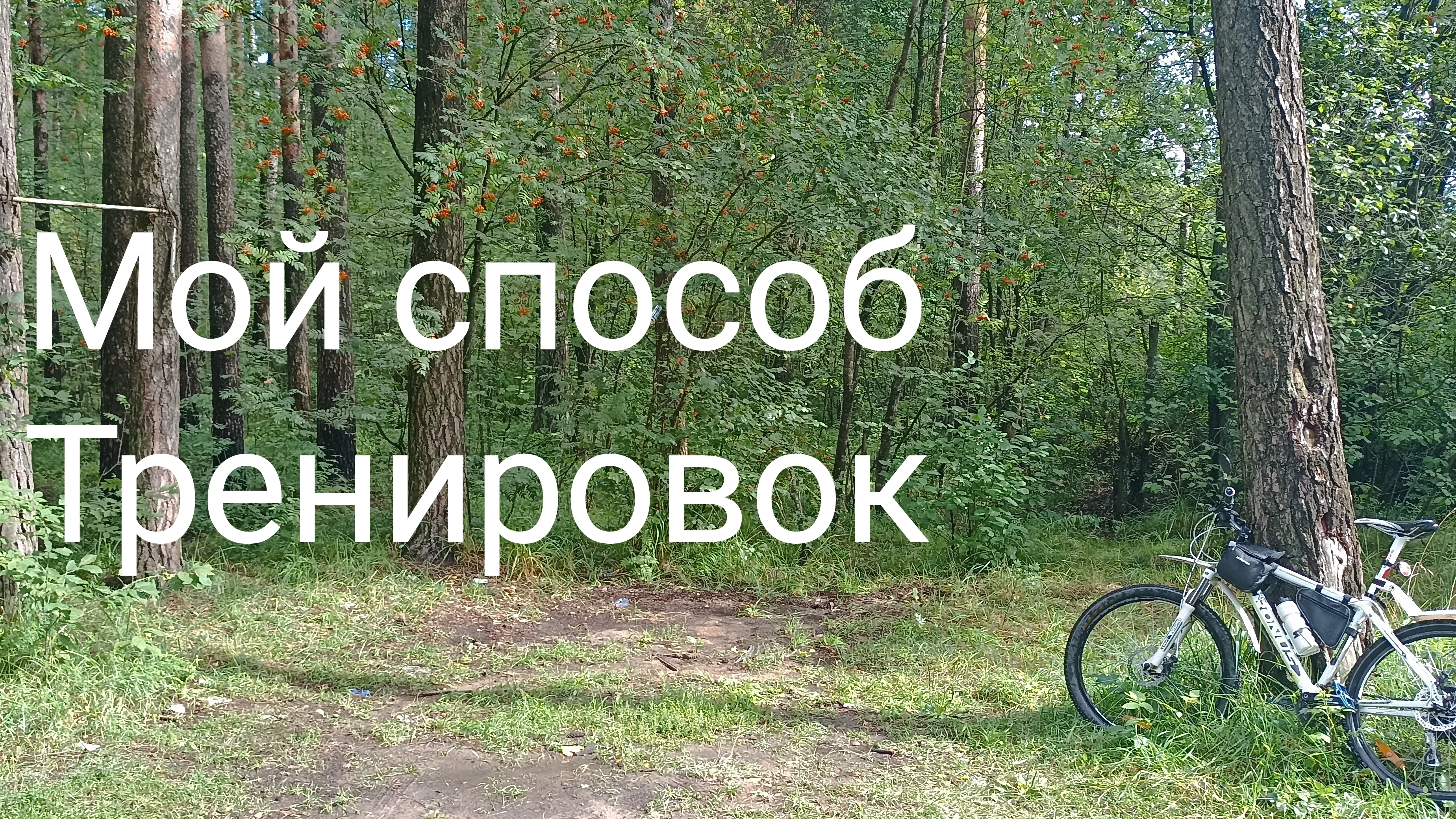 Как изменить образ жизни. Мой способ.