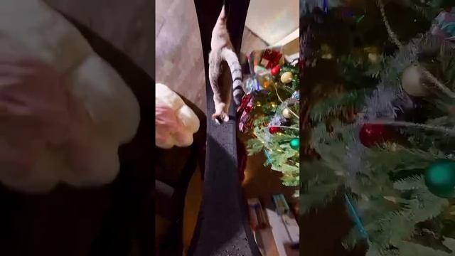 Экшон на 360