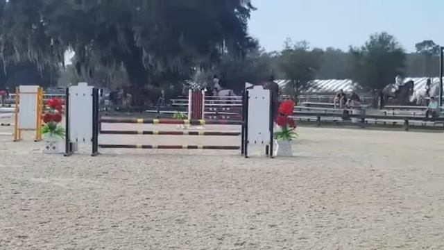 Delia winning round 2/16/18