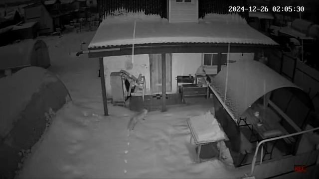 lv_0_20241226194235.mp4