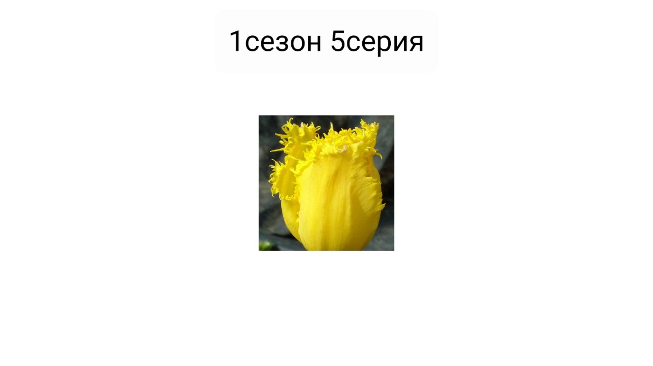 01сезон 05серия