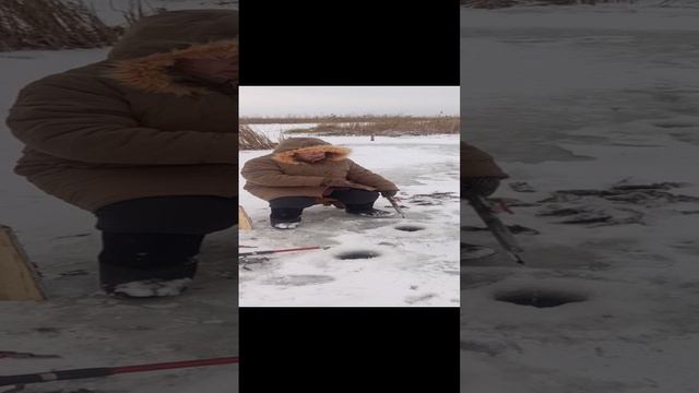 Ловля ротана