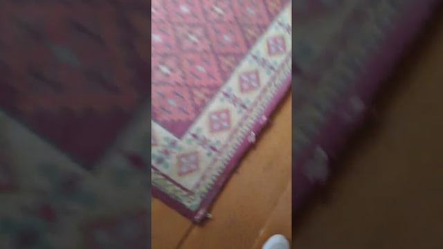 2021, начало 2