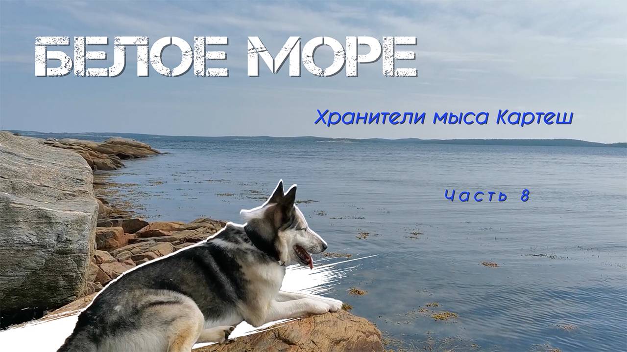 От Чупинской губы до станции Пояконда - Часть 8. Белое Море  на байдарке Викинг 4,7, 2022 год
