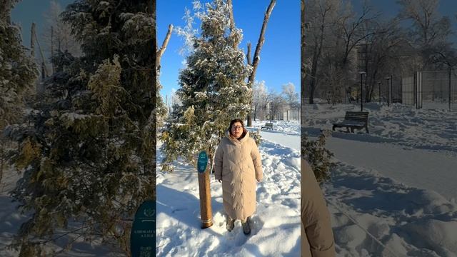 АПАК 2025